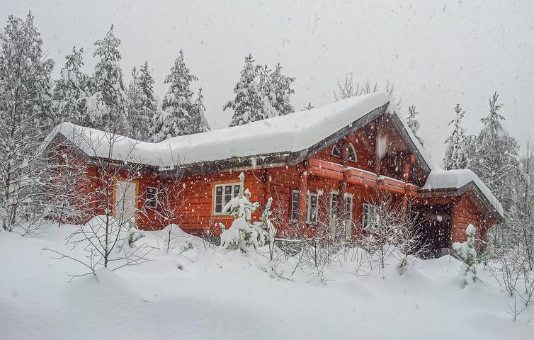 Ferienhaus für 11 Personen mit Seeblick in Drangedal