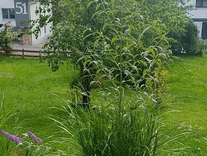 Ferienwohnung für 2 Personen, mit Terrasse und Garten, kinderfreundlich in Gersfeld - 3
