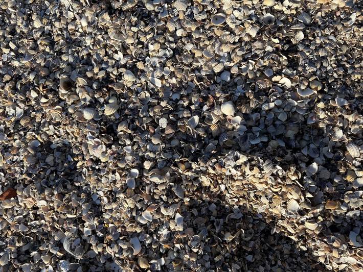 Ferienwohnung für 2 Personen, mit Balkon in Horumersiel - 2