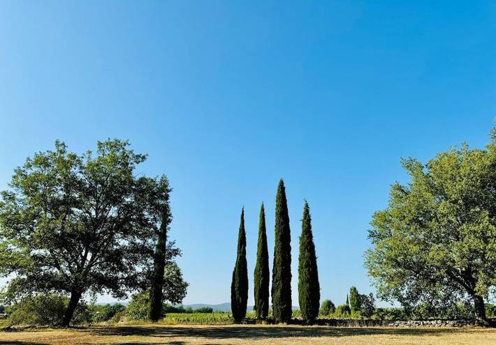 Location de vacances pour 20 personnes, avec Terrasse et Jardin ainsi que Piscine et Vue à Saint-Maximin-la-Sainte-Baume - 4