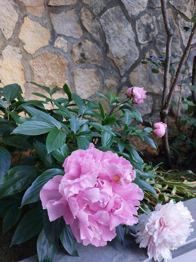 Da Noi Due in Bergamo, Provincia di Bergamo