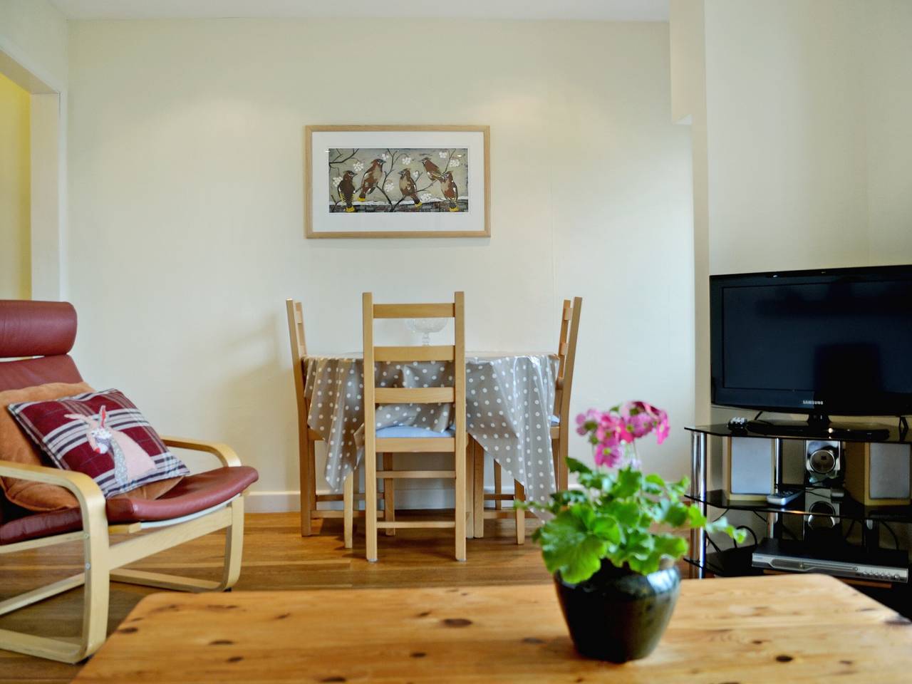 Palm Leas - E3587 in Ilfracombe, Devon