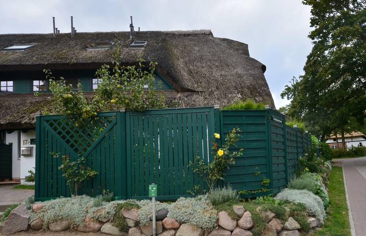 Ferienhaus für 8 Personen, mit Terrasse und Garten in Groß Zicker - 4