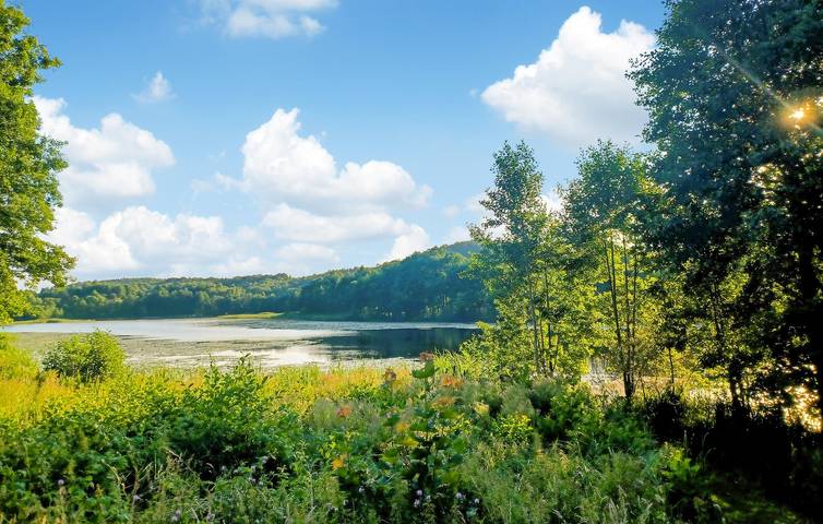 Appartamento intero, Appartamento vacanze per 4 persone in Mar Baltico Polacco