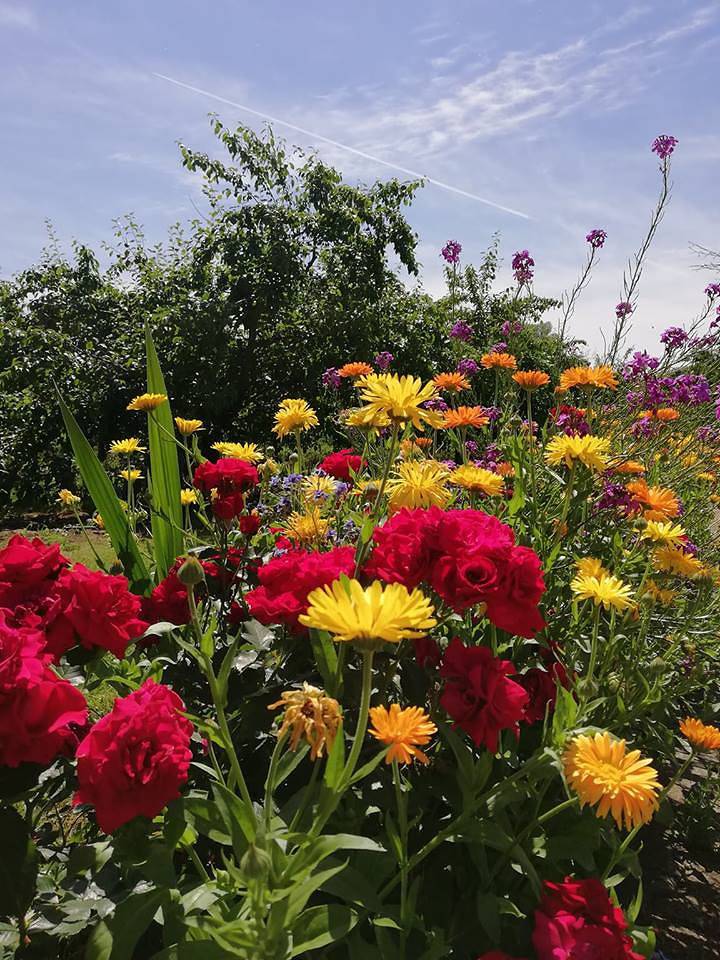 Ganze Ferienwohnung, Ferienwohnung Hopfenblüte - Ferienwohnung Hopfenblüte - 4 seperate Schlafzimmer, max. 8 Personen in Eriskirch, Region Bodensee-Oberschwaben