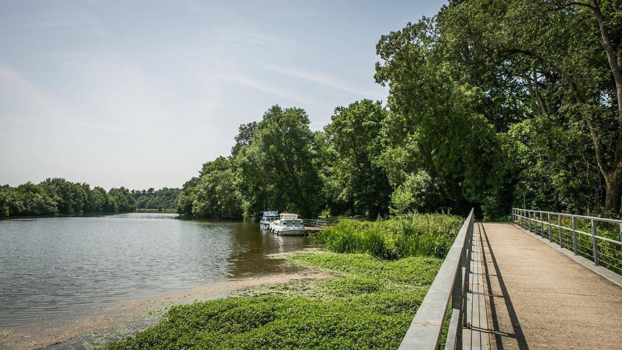 Camping du Lion d'Angers in Le Lion-d'Angers, Vallée de la Loire