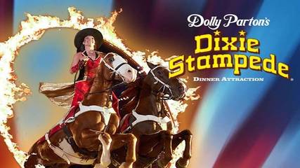 Log Cabin for 6 Guests in Douglas Lake, Jefferson County (TN), Picture 1