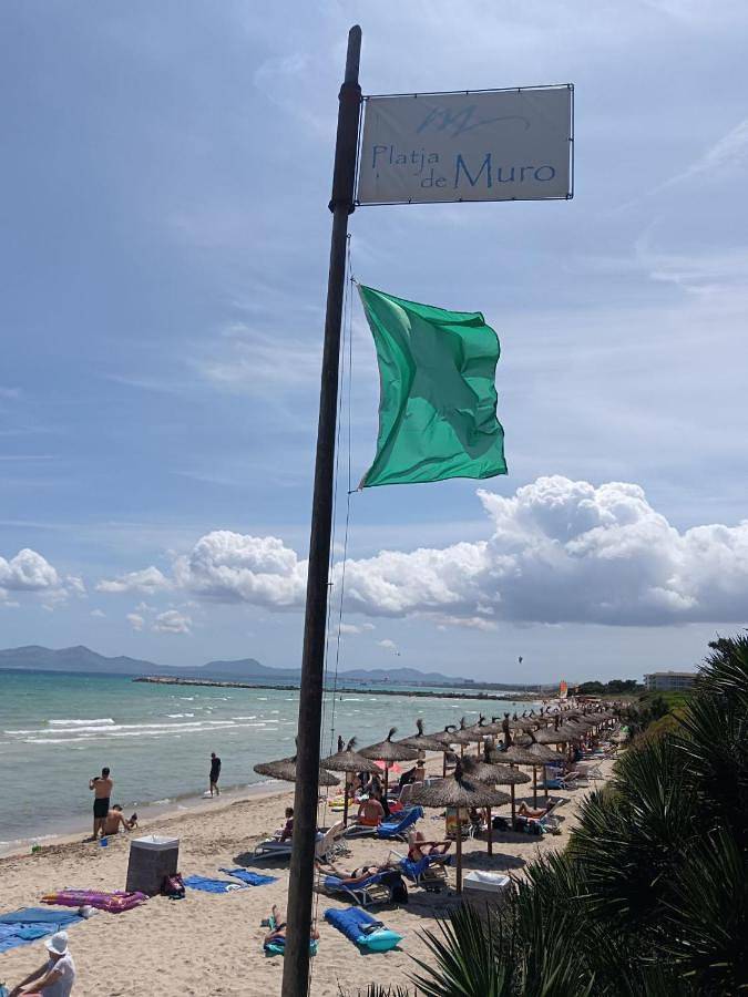 Gîte pour 8 personnes, avec piscine et jardin, animaux acceptés dans Playa de Muro - 2
