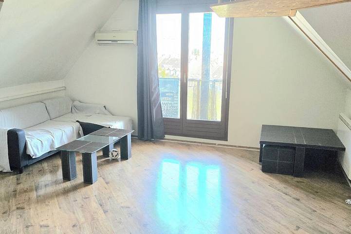 Vacation rental for 3 people, with balcony, with pets in Strasbourg