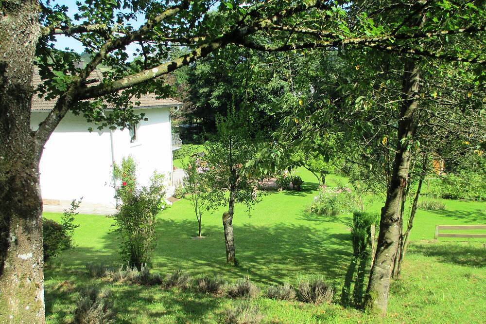 Appartement direct aan het bos op een rustige, afgelegen locatie in het hart van de Vulkaneifel, foto 14