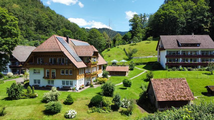 Apartamento entero, Hoferpeterhof: Apartamento '1 Habitación' con vistas a la montaña, terraza y Wi-Fi in Bad Peterstal-Griesbach, Selva Negra Central