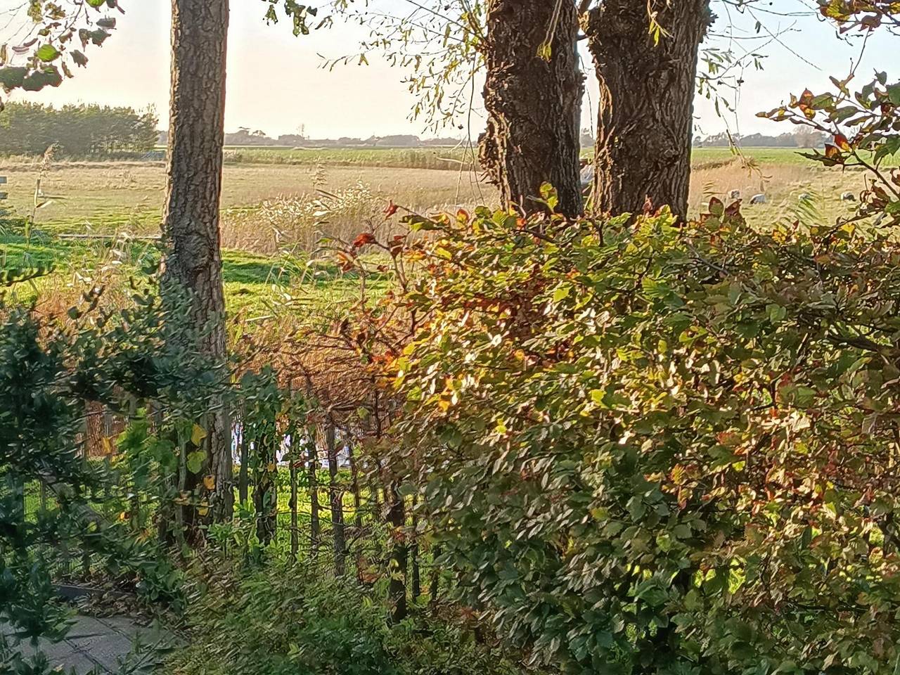Great Vakantiehuizen — Vogelvrij 3 in Niederländische Nordsee