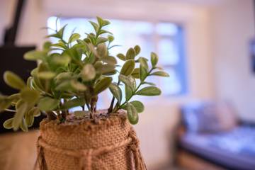Studio pour 2 Personnes dans Grenoble, Isère, Photo 3
