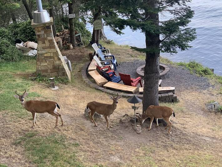 Vacation rental for 13 people, with terrace and hot tub in Washington