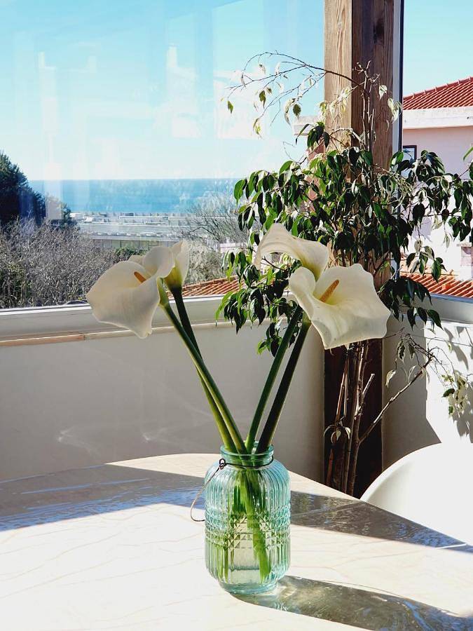 Gîte pour 4 personnes, avec vue dans Parede - 2