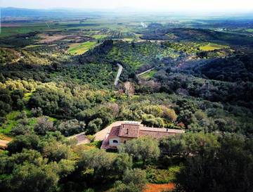 Chambre d’hôte pour 2 personnes, avec vue et jardin à Castiglione della Pescaia