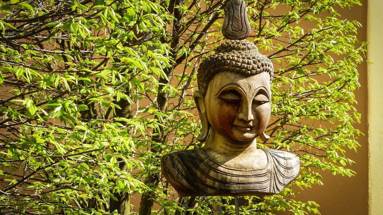 Ganze Ferienwohnung, Ferienwohnung für 3 Personen (45 m²) in Neustadt in Neustadt an der Weinstraße, Pfälzer Rheinebene