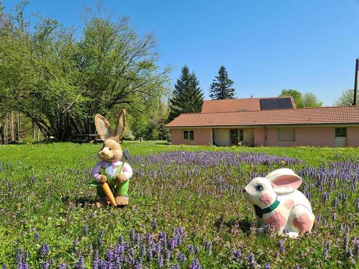 Casa de huéspedes para 4 personas, con jardín y terraza - 1