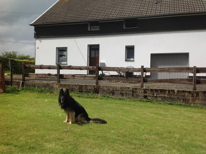 Ferienhaus für 10 Personen, mit Terrasse und Garten in Monschau - 2