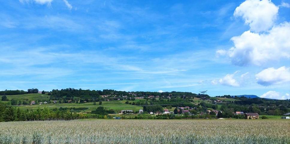 Hôtel pour 2 personnes, avec vue ainsi que terrasse et jardin, animaux acceptés à Belmont-Tramonet - 2