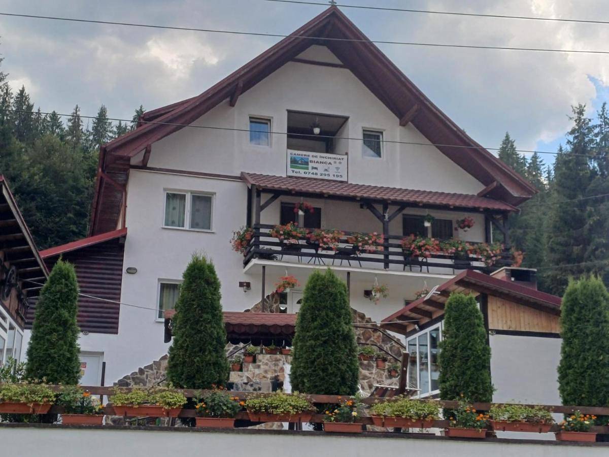 Appartement de vacances entier, Cabana Bianca in Alba (Romania)