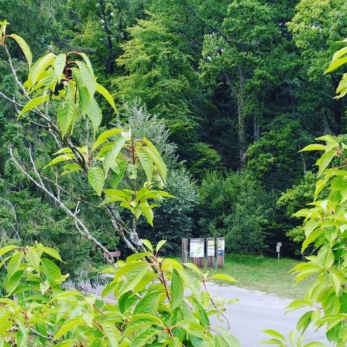 Location de vacances pour 5 personnes, avec jardin dans Département Nord - 4