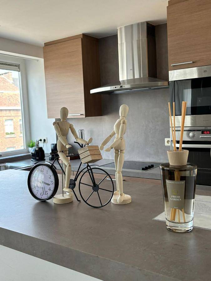 Gîte pour 5 personnes, avec balcon et vue à Malines - 2