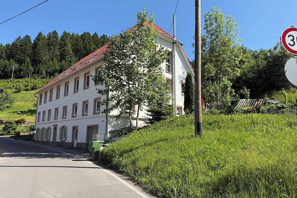Ganze Wohnung, Große Ferienwohnung im Schwarzwald mit Sauna und Familienzimmer in Wolfach, Mittlerer Schwarzwald