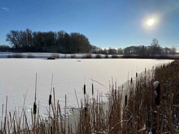 Ferienwohnung für 3 Personen in Göhren-Lebbin, Fleesensee, Bild 2