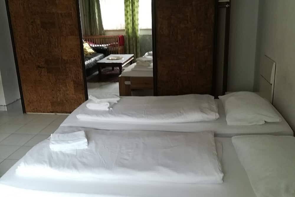 Geheel appartement, Appartement in het hart van Mannheim, zeer centraal gelegen in Mannheim, Kurpfalz