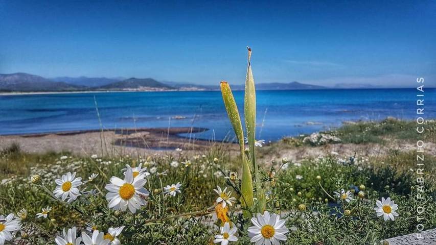 Entire studio, Studio Apartment 'Monolocale Yellow' with Mountain View, Wi-Fi and Air Conditioning in Siniscola, Nuoro Province