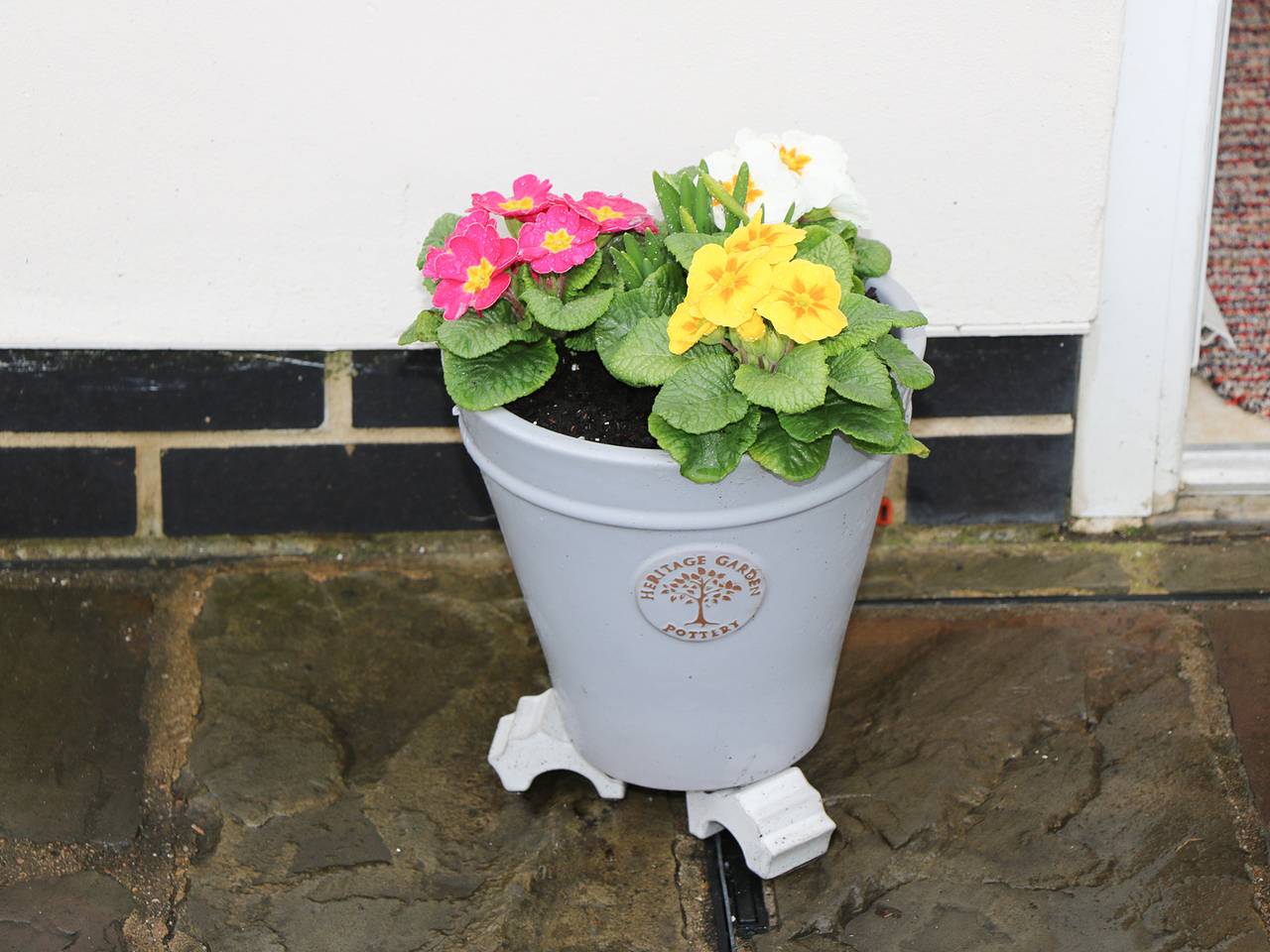 Cherry Fields in Old Bolsover, Derbyshire