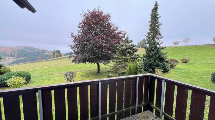 Appartement voor 4 personen, met balkon en uitzicht in Neuastenberg