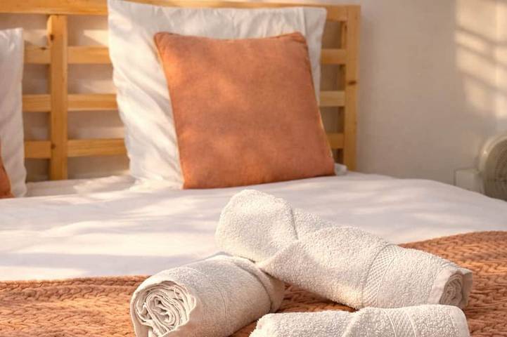 Appartement entier, Le Royal Colbert - Hyper centre - Cosy & Elegant in Tours, Région de Tours
