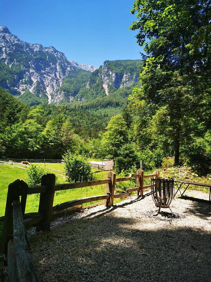 Holiday home for 2 people, with terrace and garden as well as view - 1