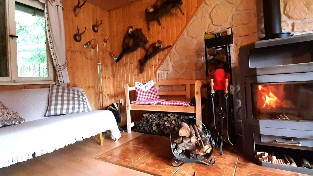 Ferienhaus für 5 Personen (50 m²) in Frauenwald in Frauenwald, Rennsteig