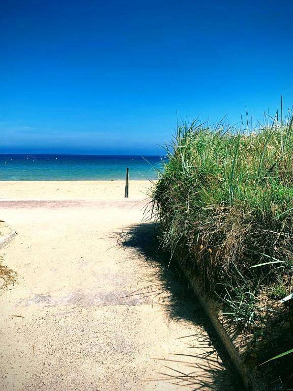 Location de vacances pour 14 personnes, avec jardin et terrasse à Beuvron-en-Auge - 3