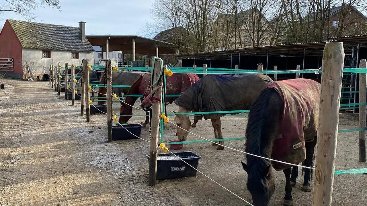 Ganze Ferienwohnung, Ferienwohnung für 2 Personen (50 m²) in Dreis-Brück in Dreis-Brück, Vulkaneifel