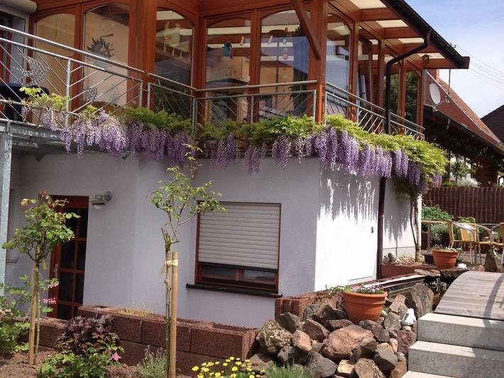 Hütte für 4 Personen, mit Terrasse, kinderfreundlich im Saarland - 4