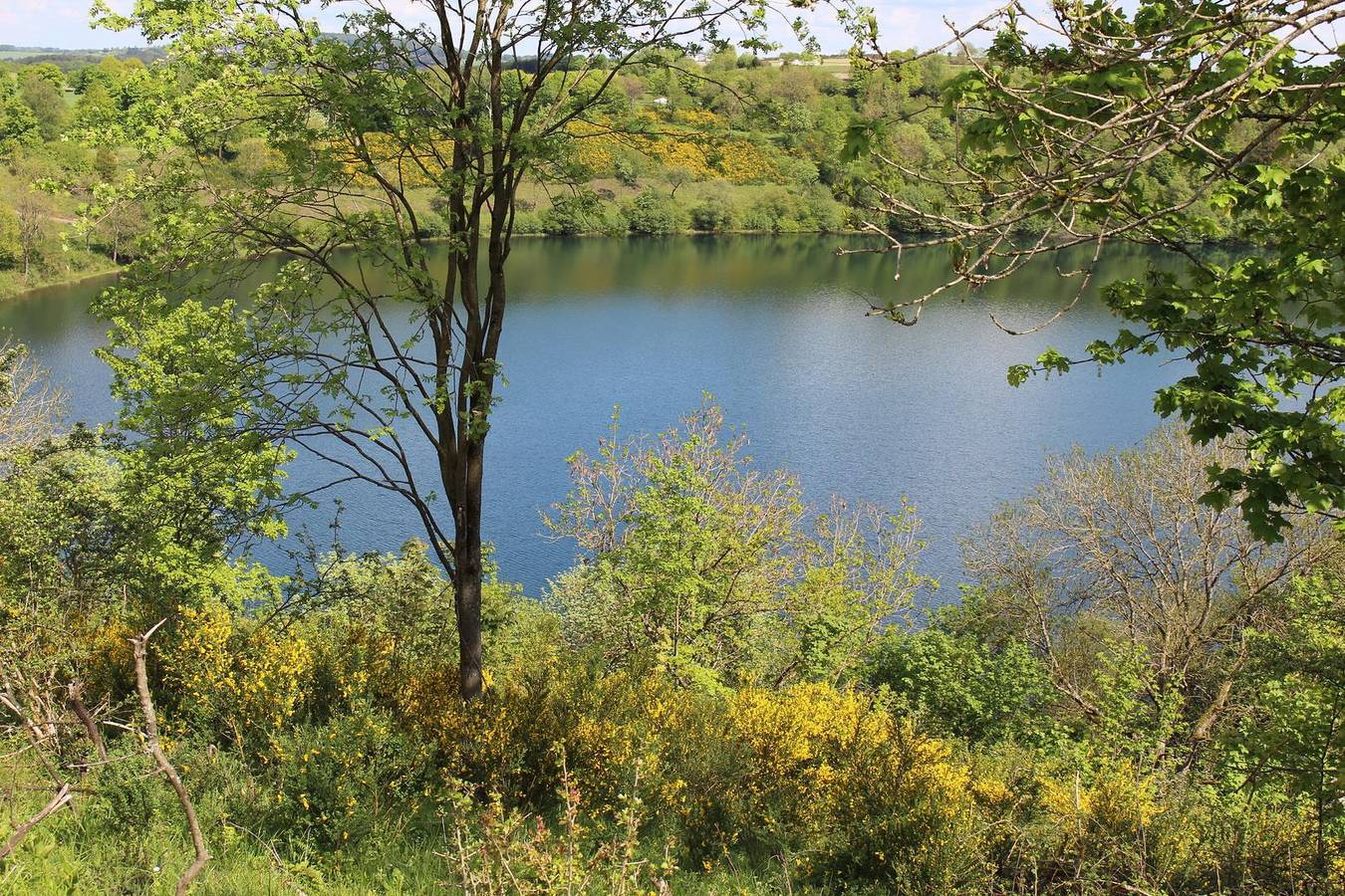 Appartement de vacances entier, 2-Bettwohnung (Nichtraucher) in Manderscheid, Région de Bernkastel-Kues