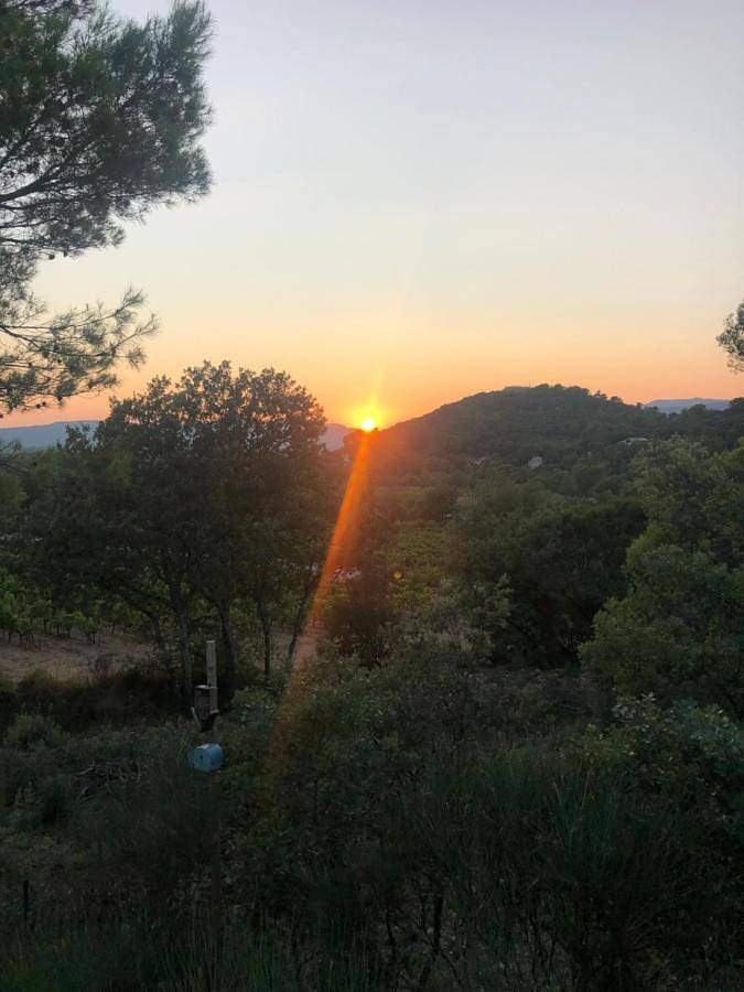 Mon petit coin de paradis in Rocbaron, Côte méditerranéenne (France)