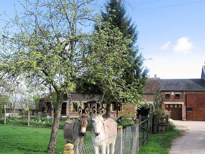 Chambre d’hôte pour 6 personnes, avec jardin, animaux acceptés en Normandie - 2