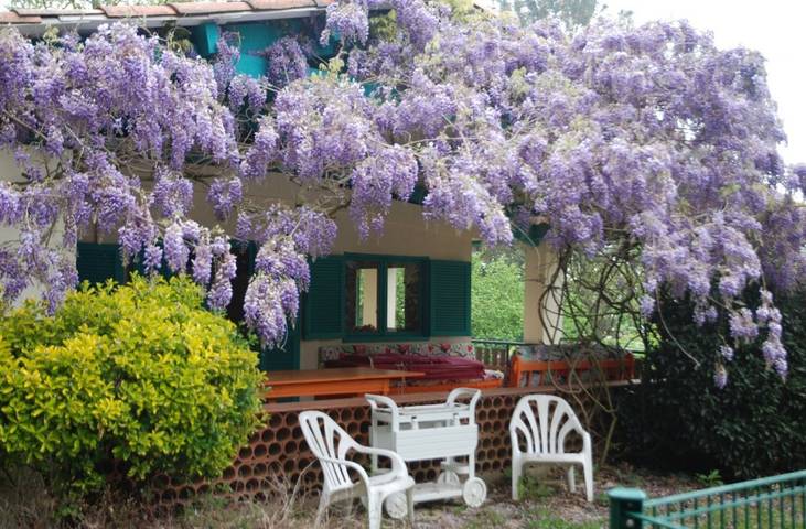 Chalet pour 4 personnes, avec jardin ainsi que piscine et terrasse, animaux acceptés - 1