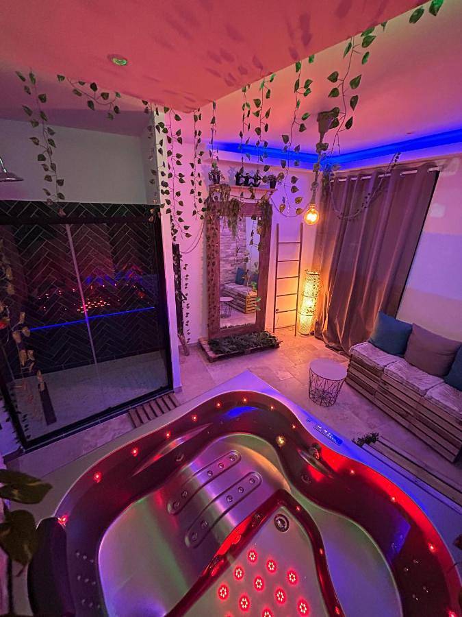 Appartement entier, Love room - Jacuzzi - Netflix - Clim - 3min train station in Avignon, Vaucluse