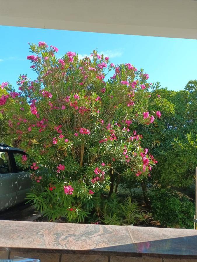Villa für 6 Personen, mit Garten und Ausblick, mit Haustier in Povljana - 4