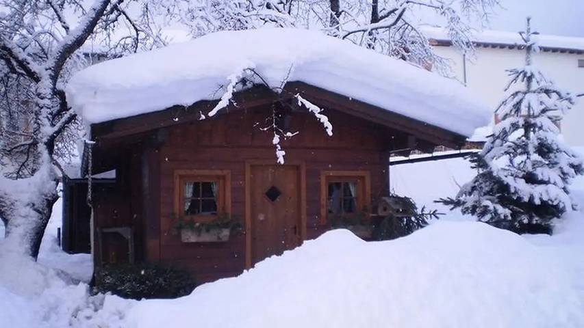 Ferienwohnung für 6 Personen, mit Garten in Flachau - 4