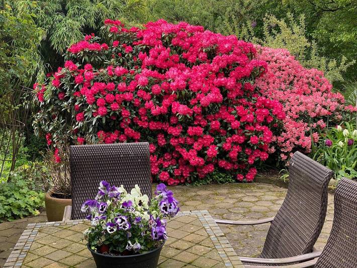 Ganze Ferienwohnung, Ferienwohnung mit Gartenblick in Klein Gladebrügge, Kreis Segeberg