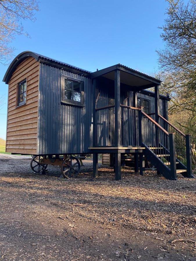 Entire apartment, One-Bedroom Apartment in Dorset