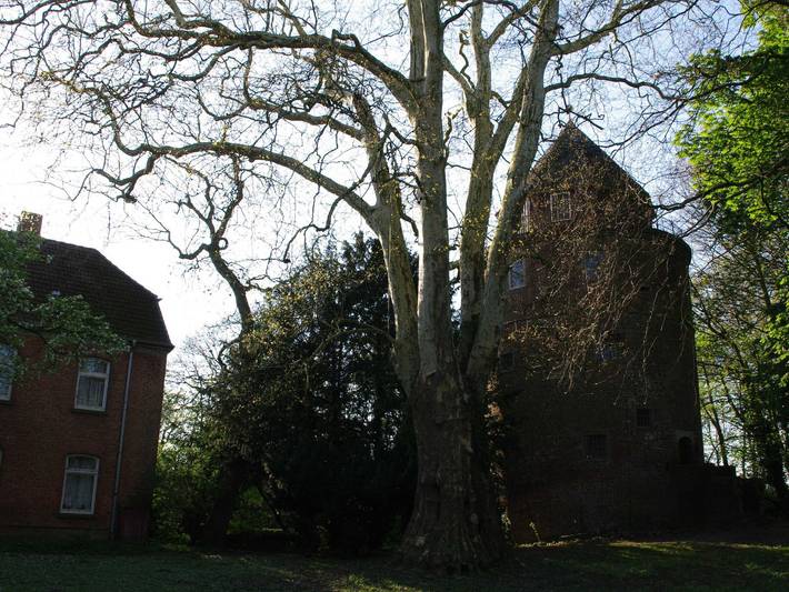 Ferienwohnung für 4 Personen, mit Garten und Terrasse, mit Haustier in Detern - 4