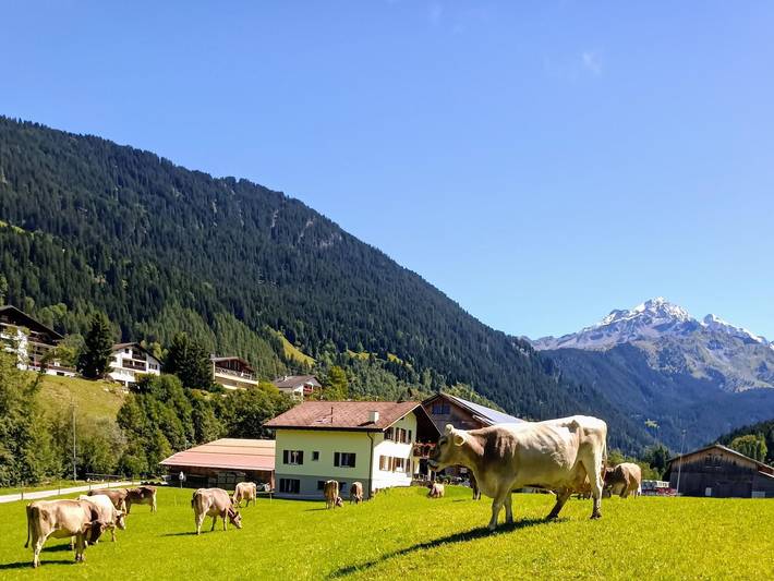 Ganze Ferienwohnung, Bauernhof Sot Curtegns - 3.5 Zimmerwohnung - 6 Betten in Surses, Oberhalbsteiner Alpen